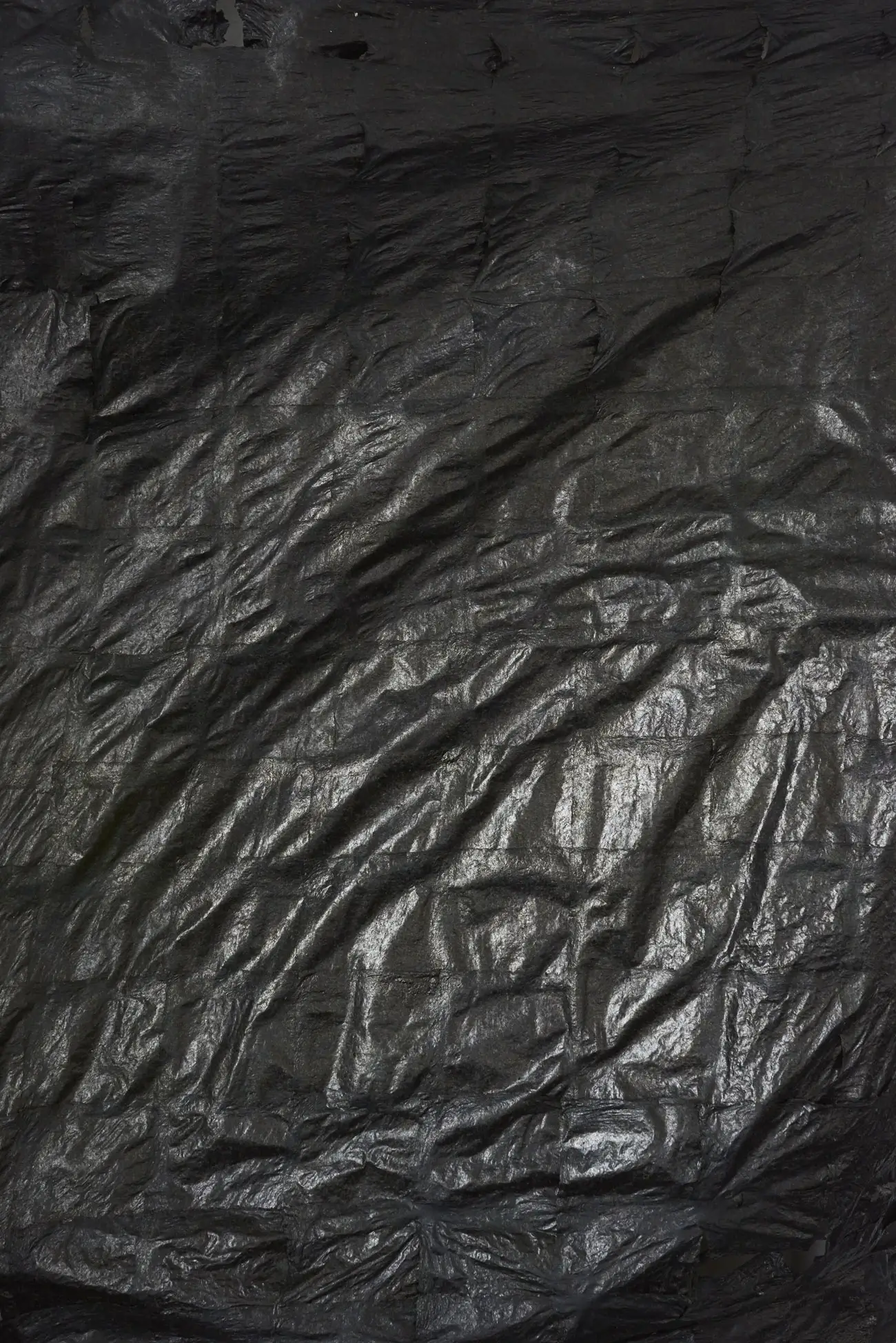 project image 4