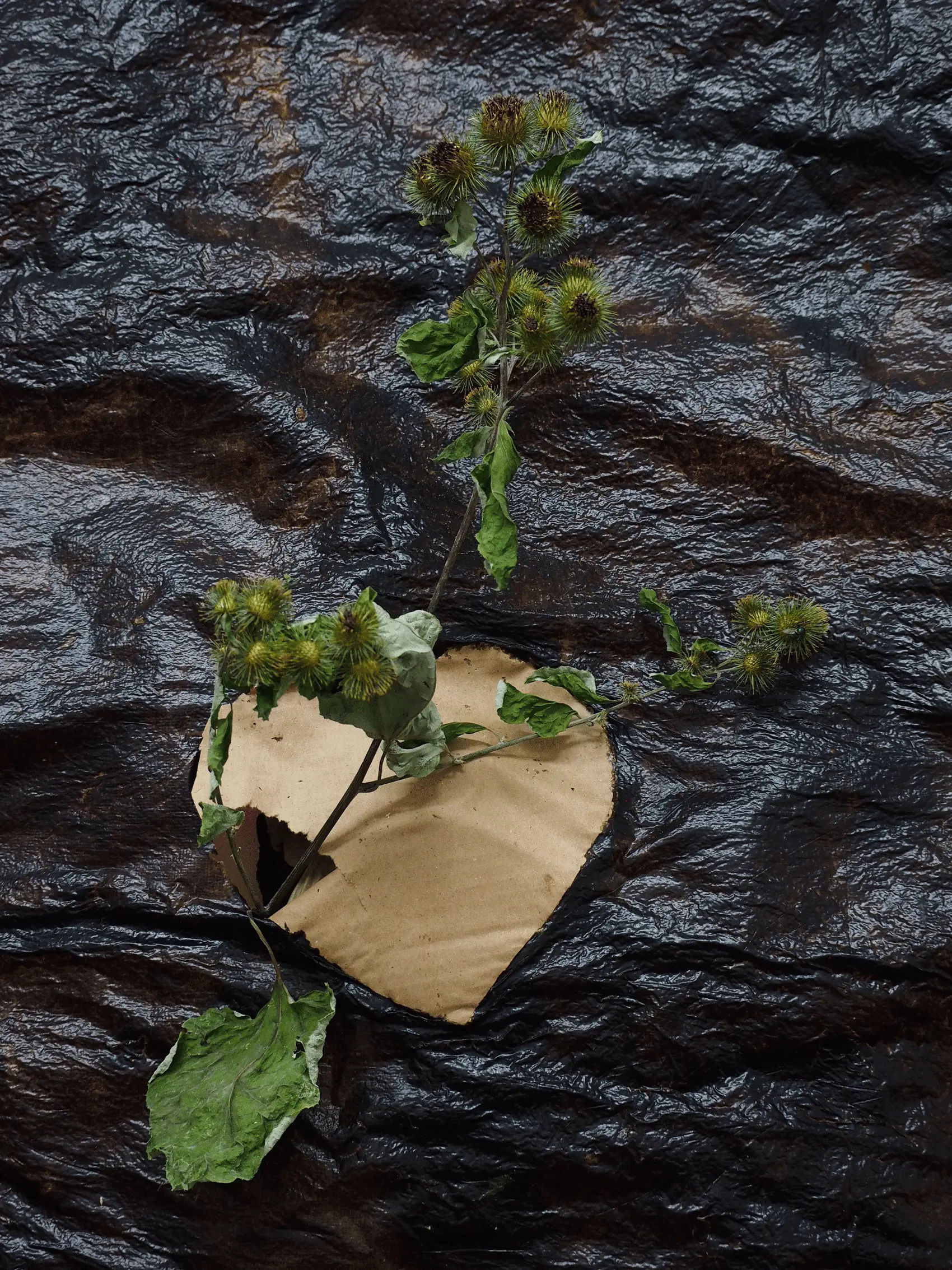 Listen With Your Heart artwork image 3 Listen With Your Heart artwork image 3
